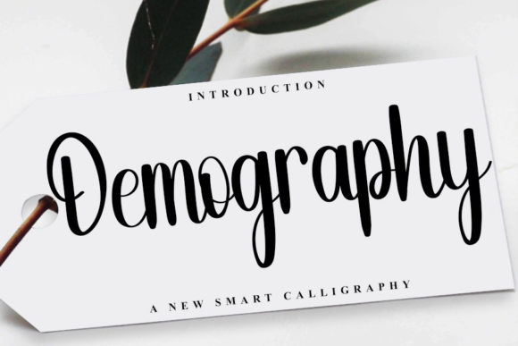 Demography Font: Elegant Script for Marketing
